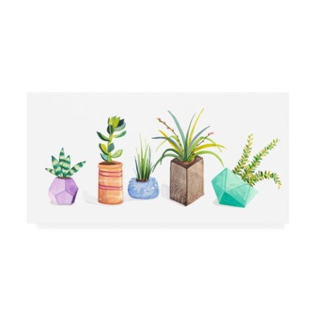 Trademark Fine Art Rebekah Ewer 'Succulent Display I' Canvas Art, 12x24 WAG12108-C1224GG